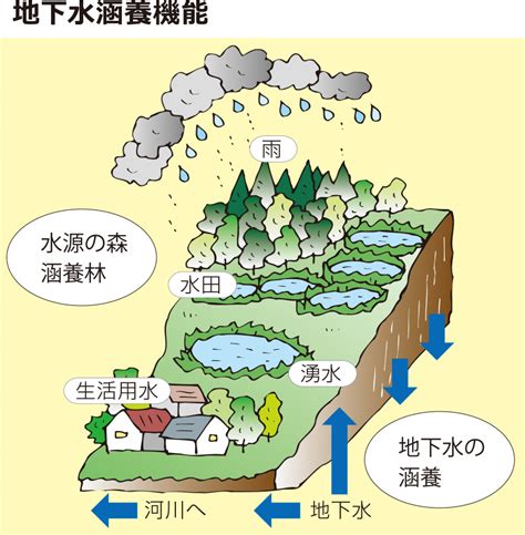 涵養水源的意思|涵養的解釋